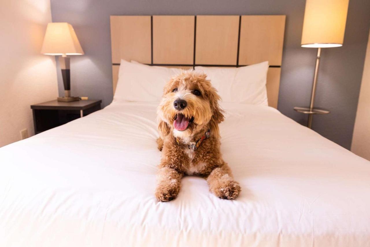 Sonesta Simply Suites Oklahoma City Airport Εξωτερικό φωτογραφία